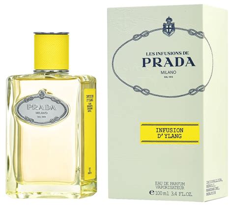 vetrine prada ysaloran|Infusion d'Ylang Prada for women and men .